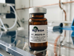 Steroids Mix 3 certified reference material vial for analytical testing